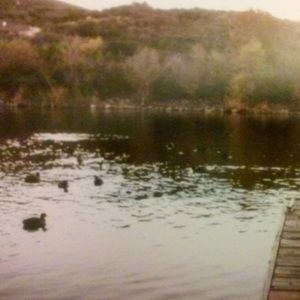 Meet your Posher, Rachelle